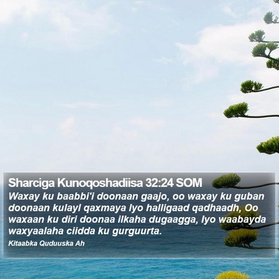 Sharciga Kunoqoshadiisa 32:24 SOM Bible Verse Image