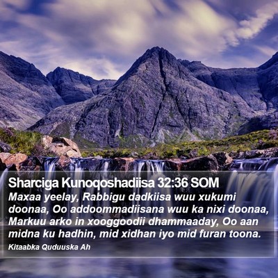 Sharciga Kunoqoshadiisa 32:36 SOM Bible Verse Image