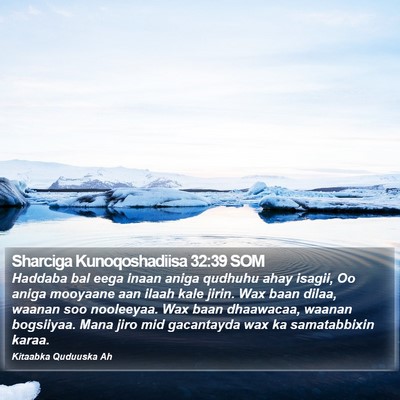 Sharciga Kunoqoshadiisa 32:39 SOM Bible Verse Image