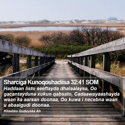 Sharciga Kunoqoshadiisa 32:41 SOM Bible Verse Image