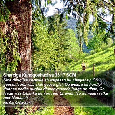 Sharciga Kunoqoshadiisa 33:17 SOM Bible Verse Image