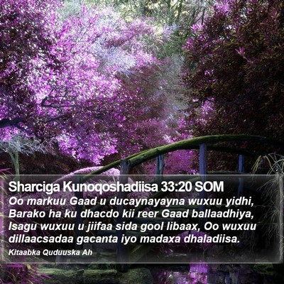 Sharciga Kunoqoshadiisa 33:20 SOM Bible Verse Image