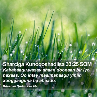 Sharciga Kunoqoshadiisa 33:25 SOM Bible Verse Image