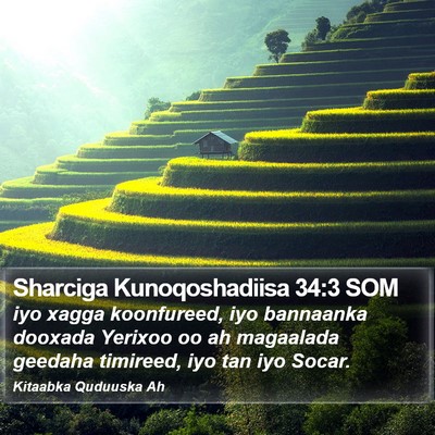 Sharciga Kunoqoshadiisa 34:3 SOM Bible Verse Image