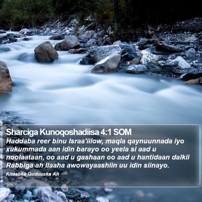 Sharciga Kunoqoshadiisa 4:1 SOM Bible Verse Image