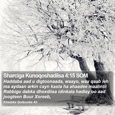 Sharciga Kunoqoshadiisa 4:15 SOM Bible Verse Image