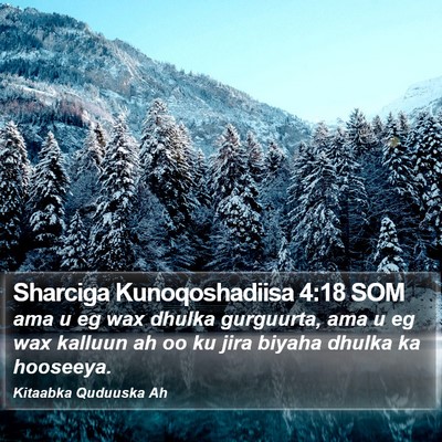 Sharciga Kunoqoshadiisa 4:18 SOM Bible Verse Image