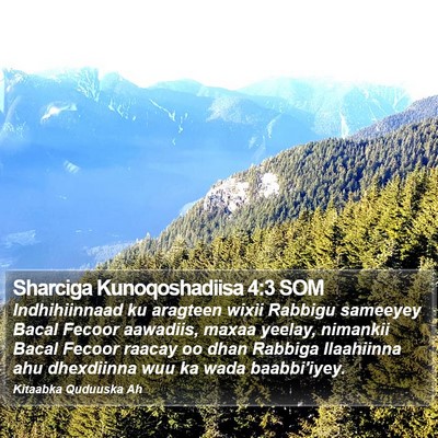 Sharciga Kunoqoshadiisa 4:3 SOM Bible Verse Image