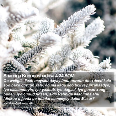 Sharciga Kunoqoshadiisa 4:34 SOM Bible Verse Image