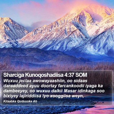 Sharciga Kunoqoshadiisa 4:37 SOM Bible Verse Image