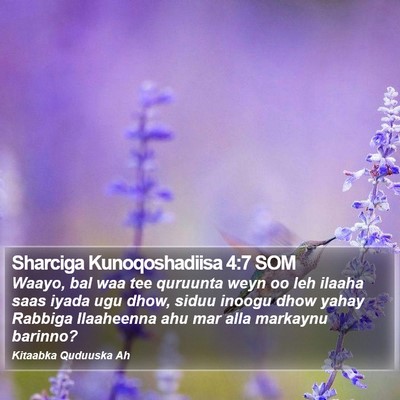 Sharciga Kunoqoshadiisa 4:7 SOM Bible Verse Image