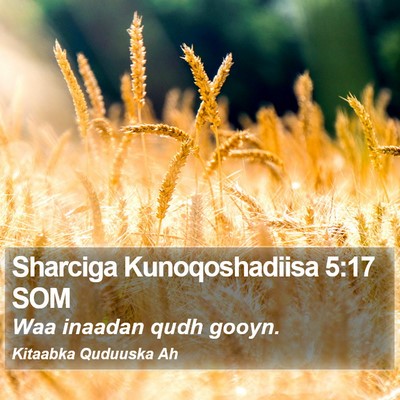 Sharciga Kunoqoshadiisa 5:17 SOM Bible Verse Image