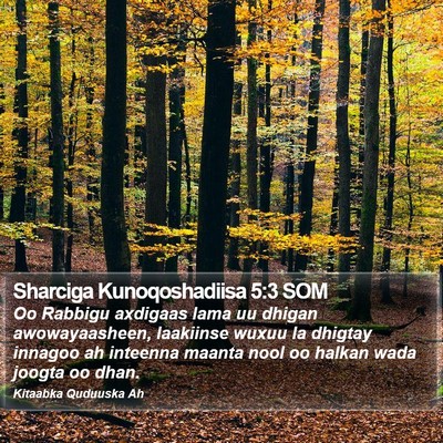 Sharciga Kunoqoshadiisa 5:3 SOM Bible Verse Image