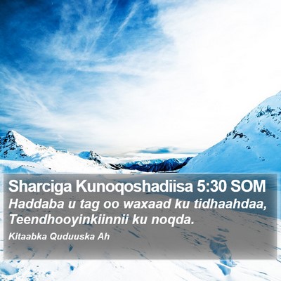 Sharciga Kunoqoshadiisa 5:30 SOM Bible Verse Image
