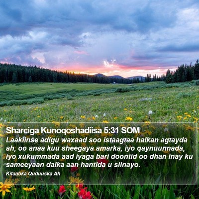 Sharciga Kunoqoshadiisa 5:31 SOM Bible Verse Image