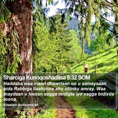 Sharciga Kunoqoshadiisa 5:32 SOM Bible Verse Image