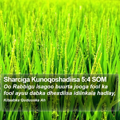 Sharciga Kunoqoshadiisa 5:4 SOM Bible Verse Image