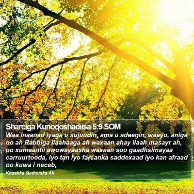 Sharciga Kunoqoshadiisa 5:9 SOM Bible Verse Image