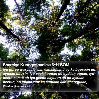 Sharciga Kunoqoshadiisa 6:11 SOM Bible Verse Image