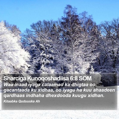 Sharciga Kunoqoshadiisa 6:8 SOM Bible Verse Image