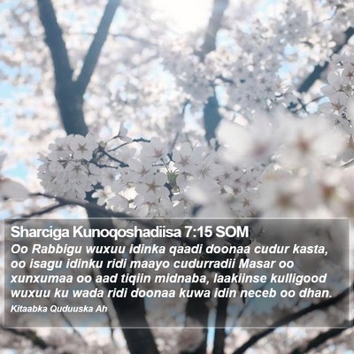 Sharciga Kunoqoshadiisa 7:15 SOM Bible Verse Image