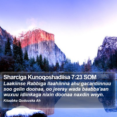 Sharciga Kunoqoshadiisa 7:23 SOM Bible Verse Image