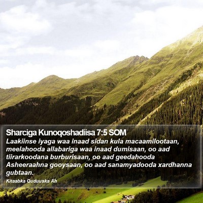 Sharciga Kunoqoshadiisa 7:5 SOM Bible Verse Image