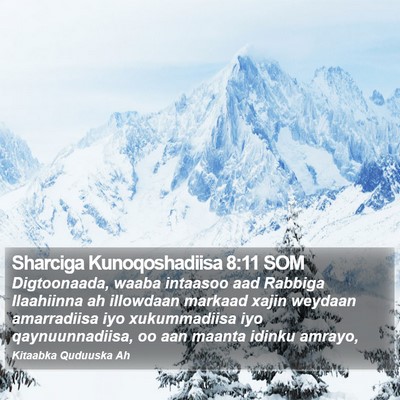 Sharciga Kunoqoshadiisa 8:11 SOM Bible Verse Image