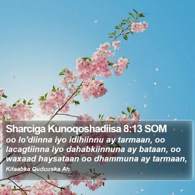 Sharciga Kunoqoshadiisa 8:13 SOM Bible Verse Image