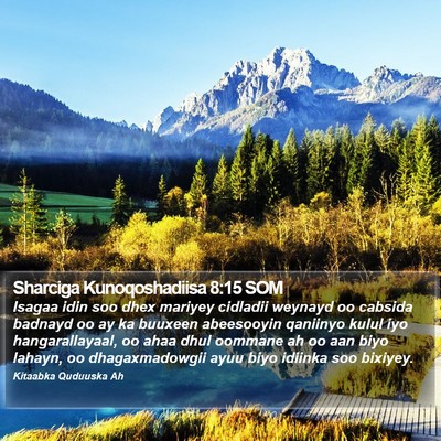 Sharciga Kunoqoshadiisa 8:15 SOM Bible Verse Image