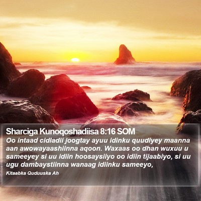 Sharciga Kunoqoshadiisa 8:16 SOM Bible Verse Image
