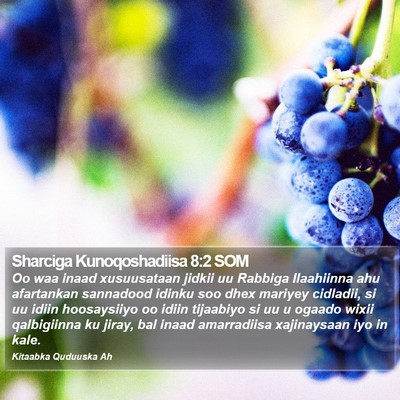 Sharciga Kunoqoshadiisa 8:2 SOM Bible Verse Image