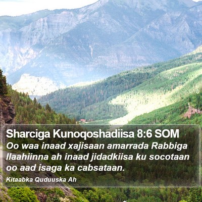 Sharciga Kunoqoshadiisa 8:6 SOM Bible Verse Image