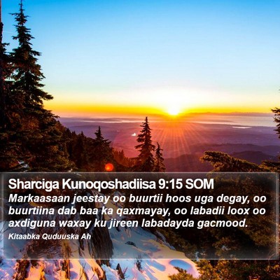 Sharciga Kunoqoshadiisa 9:15 SOM Bible Verse Image