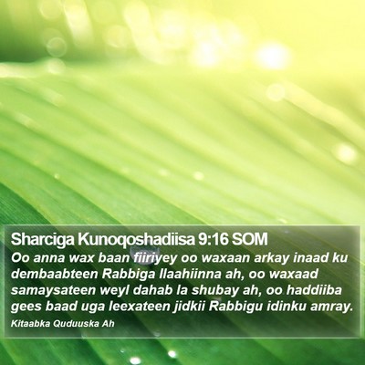 Sharciga Kunoqoshadiisa 9:16 SOM Bible Verse Image