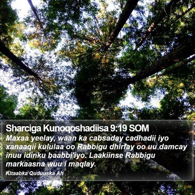 Sharciga Kunoqoshadiisa 9:19 SOM Bible Verse Image