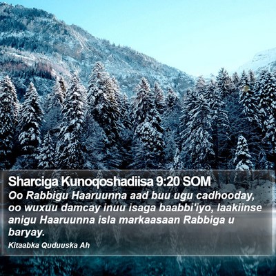Sharciga Kunoqoshadiisa 9:20 SOM Bible Verse Image
