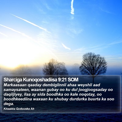 Sharciga Kunoqoshadiisa 9:21 SOM Bible Verse Image