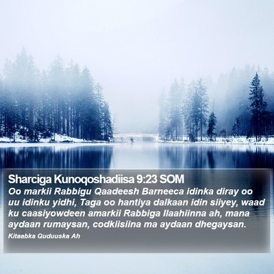 Sharciga Kunoqoshadiisa 9:23 SOM Bible Verse Image