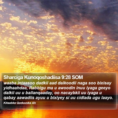 Sharciga Kunoqoshadiisa 9:28 SOM Bible Verse Image