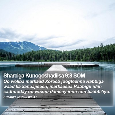 Sharciga Kunoqoshadiisa 9:8 SOM Bible Verse Image