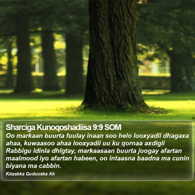 Sharciga Kunoqoshadiisa 9:9 SOM Bible Verse Image