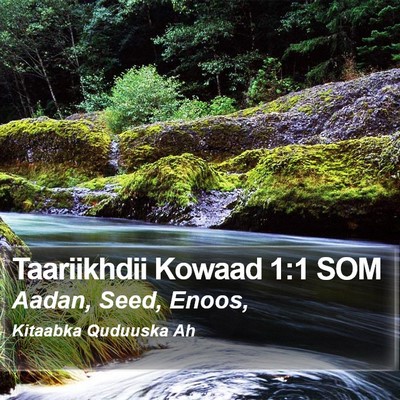 Taariikhdii Kowaad 1:1 SOM Bible Verse Image