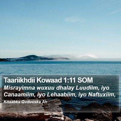 Taariikhdii Kowaad 1:11 SOM Bible Verse Image