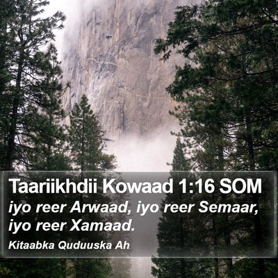 Taariikhdii Kowaad 1:16 SOM Bible Verse Image