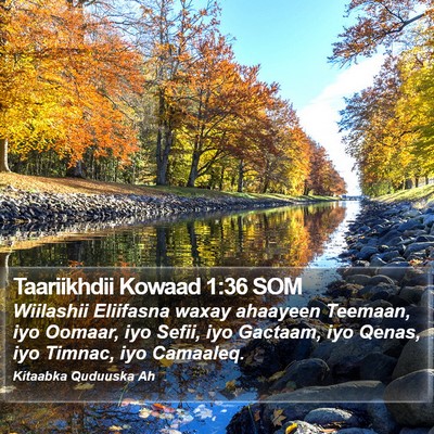 Taariikhdii Kowaad 1:36 SOM Bible Verse Image