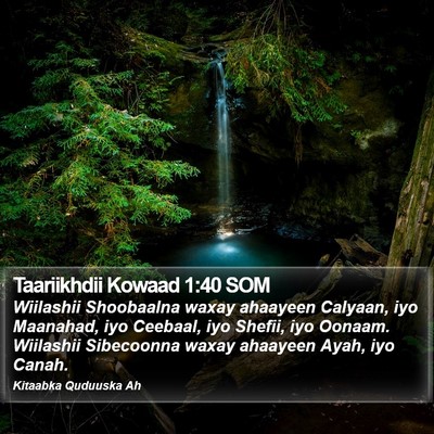 Taariikhdii Kowaad 1:40 SOM Bible Verse Image
