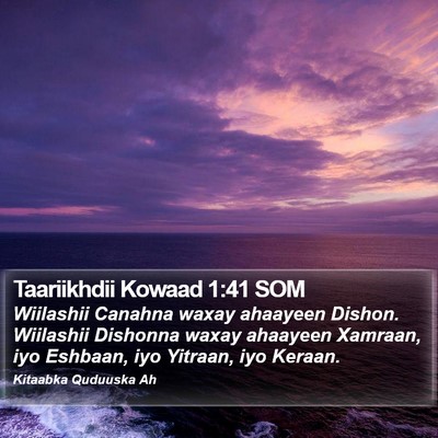 Taariikhdii Kowaad 1:41 SOM Bible Verse Image