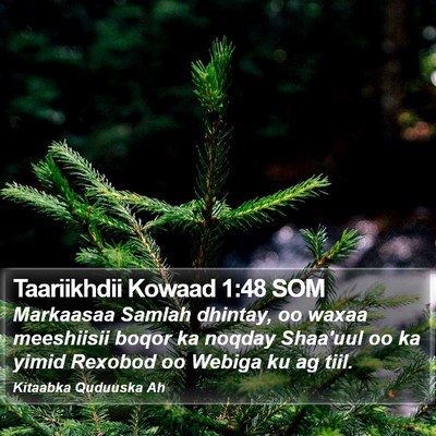Taariikhdii Kowaad 1:48 SOM Bible Verse Image