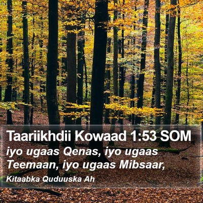 Taariikhdii Kowaad 1:53 SOM Bible Verse Image